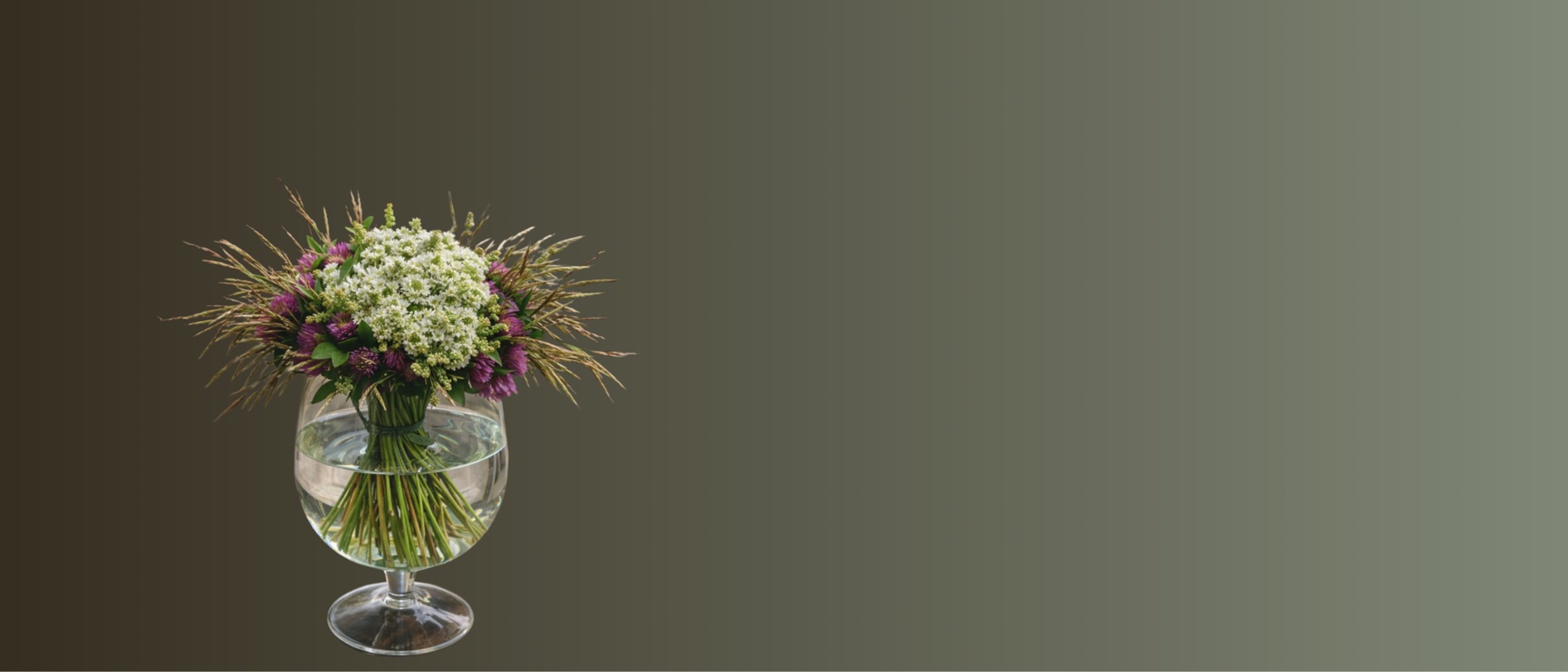 Fleurs sauvages